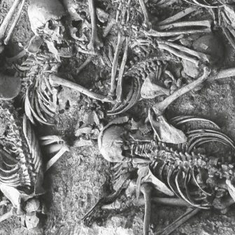 ‘On són?’ 💭
Una pregunta que encara ressona en milers de famílies.
Del 6 de juliol al 19 d’octubre, el Museu Palau Mercader acull aquesta exposició que ens recorda una realitat que no podem oblidar:

🔹 85 anys d’exhumacions de fosses comunes de la Guerra Civil a Catalunya.
Un viatge necessari per entendre el passat, honorar la memòria dels qui van marxar sense acomiadar-se, i donar veu a aquells que encara busquen respostes. 🕯️

Produïda per la Direcció General de Memòria Democràtica de la Generalitat, aquesta mostra que ens interpel·la com a societat i com a persones.
Vine i descobreix què s’ha fet i què s’està fent per retornar la dignitat a tantes vides silenciades.

📍 Museu Palau Mercader
🗓️ Del 6 de juliol al 19 d’octubre.
💬 T’hi aproparàs? Explica’ns què significa per a tu la memòria històrica. 
👉 Programació completa a l'enllaç del perfil!

#Cornellà #Exposicions #MuseuPalauMercader #CastellDeCornellà #CiutatCruïlla @museuscornella
