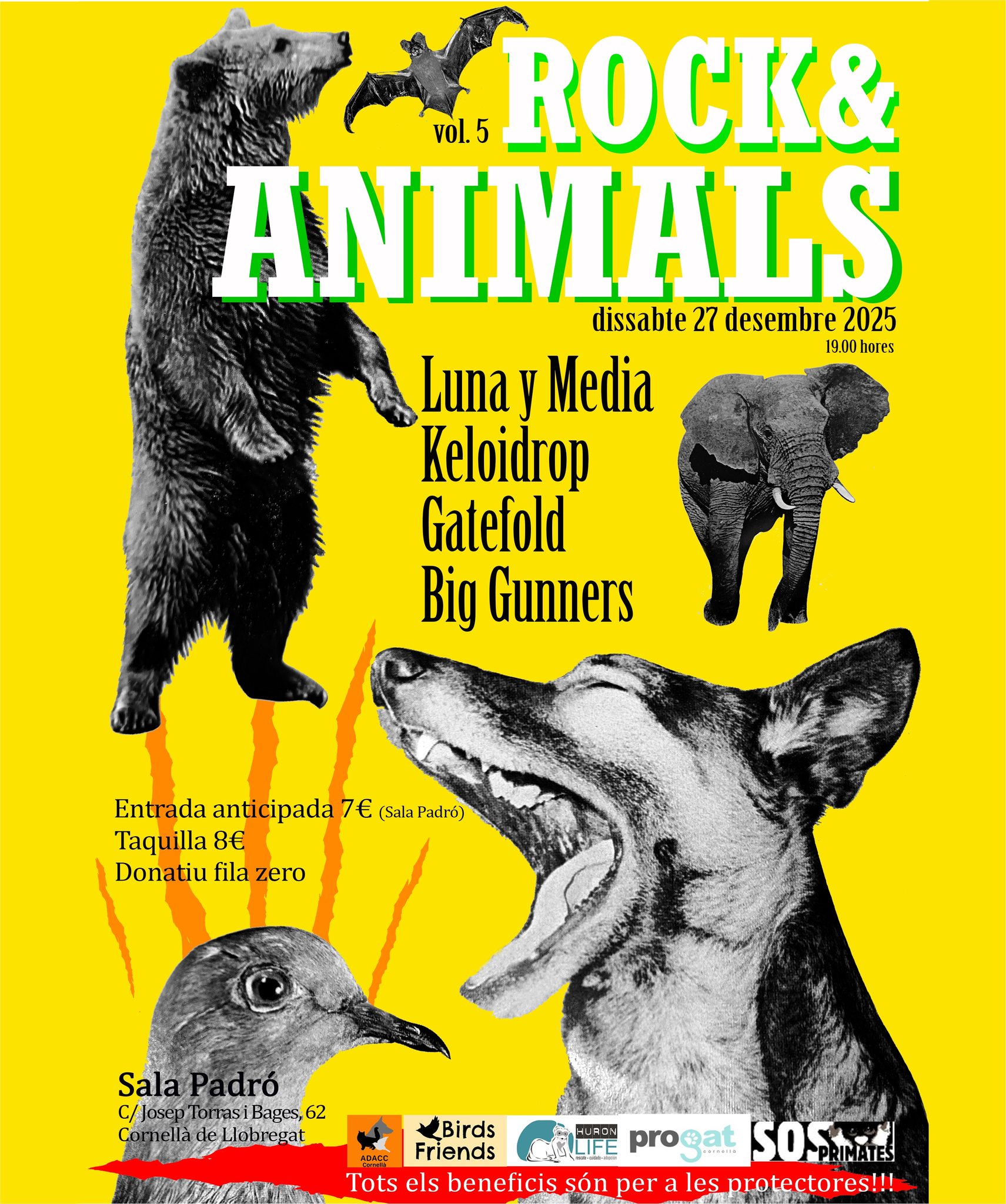 El Nadal més solidari arriba a Cornellà!🐾🎸

El dissabte 27 de desembre a les 19h, la Sala Padró/Orfeó Catalònia s’omplirà de música, emoció i solidaritat.

Torna el 5è Rock&Animals, el concert que uneix el ritme del rock amb l’amor pels animals. 💚

🎶 Gaudeix d’una nit plena d’energia amb bandes locals
🎁 Descobreix el mercat nadalenc solidari on podràs comprar regals per Reis
🐶 I ajuda directament a 5 protectores d’animals que treballen cada dia per donar-los una segona oportunitat.

✨ Vine, canta, compra i col·labora.
Cada entrada, cada compra, cada aplaudiment… compta.

📍 Sala Padró / Orfeó Catalònia – Cornellà de Llobregat
📅 Dissabte 27 de desembre – 19h
🎟️ Entrada solidària a benefici de les protectores participants.

💬 Comparteix aquest post i ajuda’ns a fer arribar el seu crit! 

#RockAndAnimals #ConcertSolidari #Cornellà #NadalSolidari #AdoptaNoCompres #ProtectoresAnimals #MúsicaAmbCor  @rockandanimals2018  @salapadro