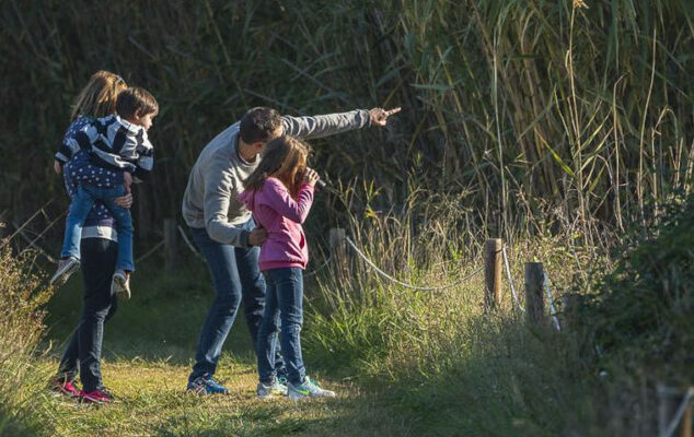 Proposta d'estiu: excursió pel riu des de Cornellà de Llobregat.