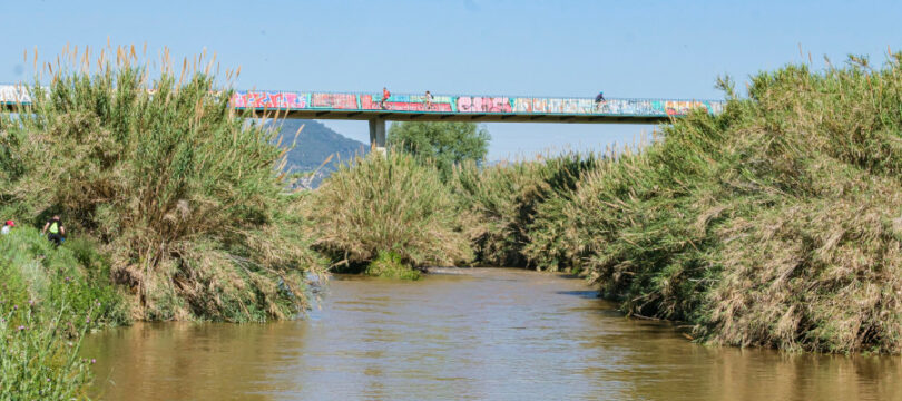 Visita al riu Llobregat des de Cornellà.