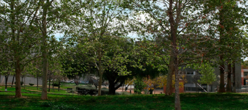 Nous refugis climàtics aquest estiu a Cornellà de Llobregat.