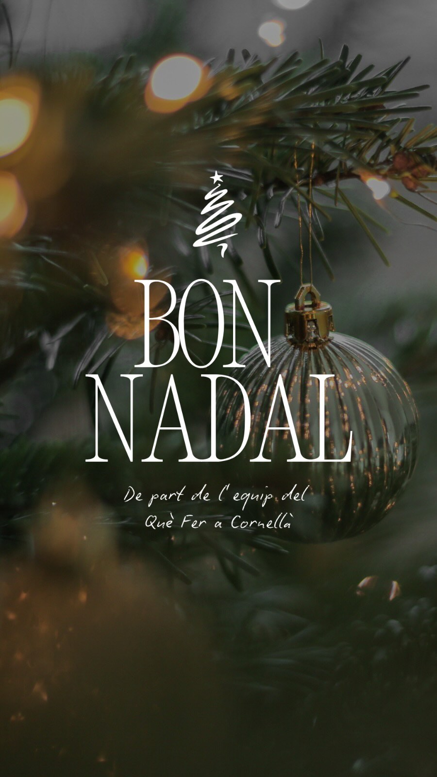 🎄🌟El nostre objectiu principal és animar-vos a viure la cultura i l’oci de Cornellà per crear moments únics! Us desitgem un Nadal carregat d’aquests moments.

Molt bon Nadal! 

#Cornellà #ajuntamentcornella #queferacornella #nadalacornella #culturacornella