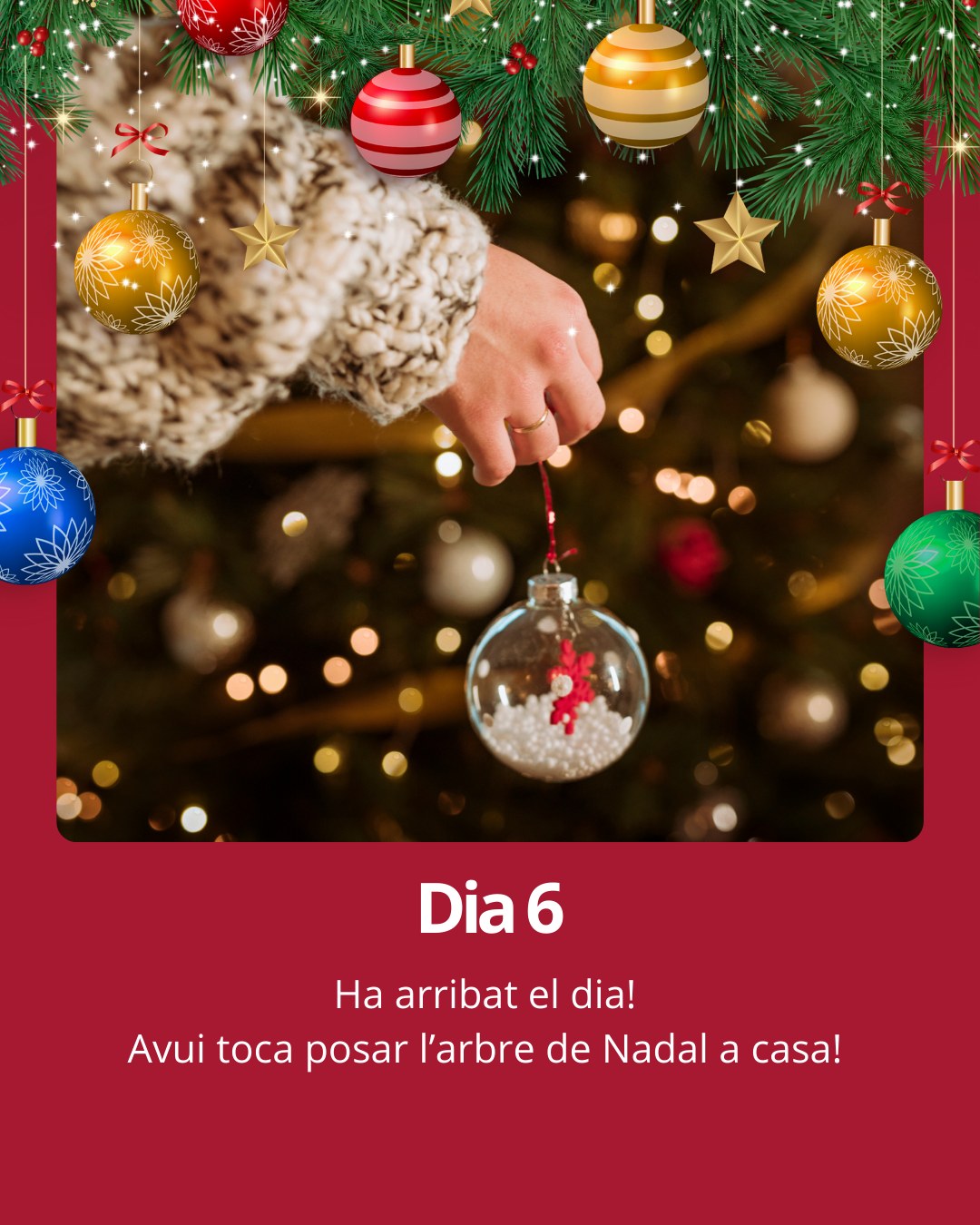 El millor moment de l'any ha arribat: avui l'arbre muntaràs! 

#cornella #Cornellà #cornelladellobregat #Cornellàdellobregat #baixllobregat #ajuntamentcornella #queferacornella #nadalacornella #nadal2025 #calendariadventcornella