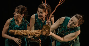 'Sotabosc' a l'auditori de Sant Ildefons dins del Cornellà Escènica.