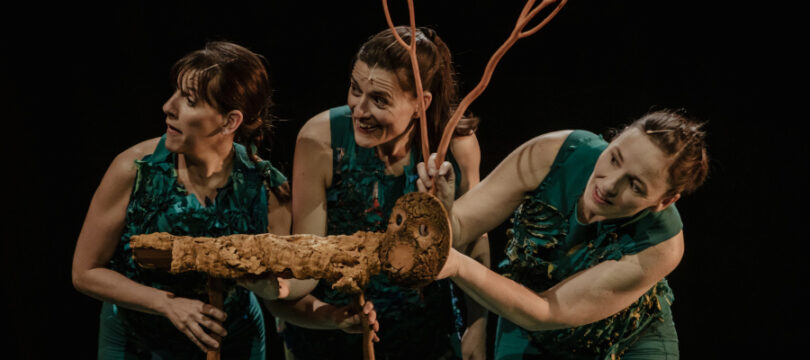 'Sotabosc' a l'auditori de Sant Ildefons dins del Cornellà Escènica.