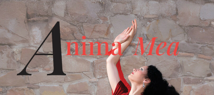 Nova exposició al Castell de Cornellà de Llobregat.